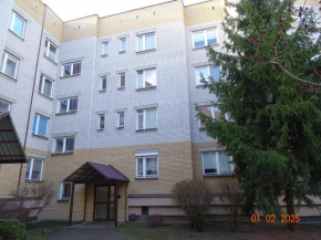 Trzy pokoje blisko centrum FORENT